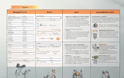 议论文与论说文，核心差异究竟在何处？