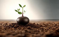 种子力量正勃发，如何激活时代新可能？