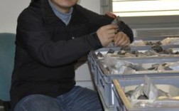 猿辅导刘扬是谁？有何故事或成就？