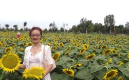 邓红霞辅导员如何用专业与爱心点亮学生成长之路？