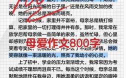 伟大的母爱 议论文