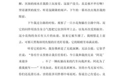 如何用行动践行对小动物的关爱？