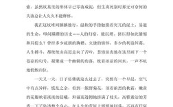 翅膀何在，何以隐形？