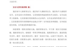 安全与责任的议论文