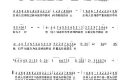 人生如歌，歌中藏着怎样的生命旋律？