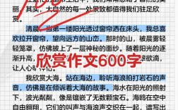 何为懂得欣赏？其价值何在？