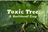有毒的树为何不砍却成议论文？