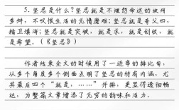 高考素材议论文