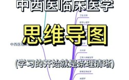 中西医医师技能辅导，如何高效提分？