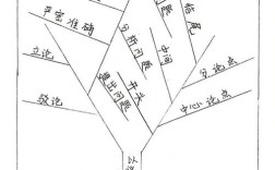 树，是自然馈赠还是生命隐喻？