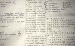 英语辅导报高考版如何高效提分？