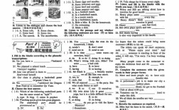 英语辅导报新目标版如何有效提升英语成绩？
