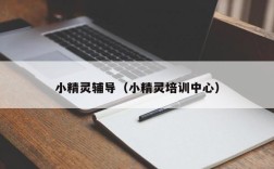 小精灵辅导（小精灵培训中心）