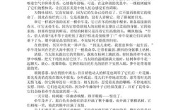 优秀议论文范文如何高效借鉴与运用？