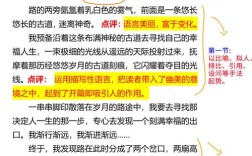 议论文写作如何快速构建论证框架？