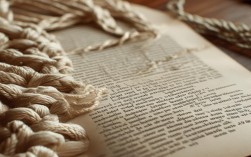 纽带如何成为维系社会关系的核心力量？