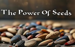 种子的力量议论文