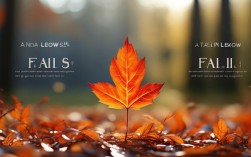 一叶知秋，当下时代，我们还能从细微见全局吗？