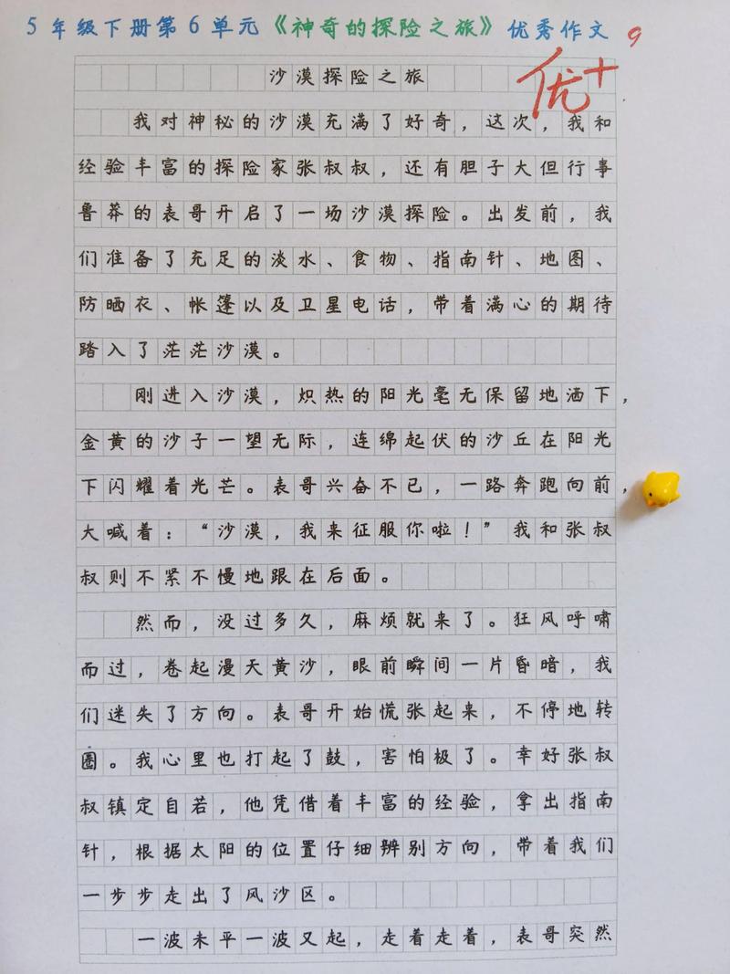 沙与金，如何淘尽真价值？-图3