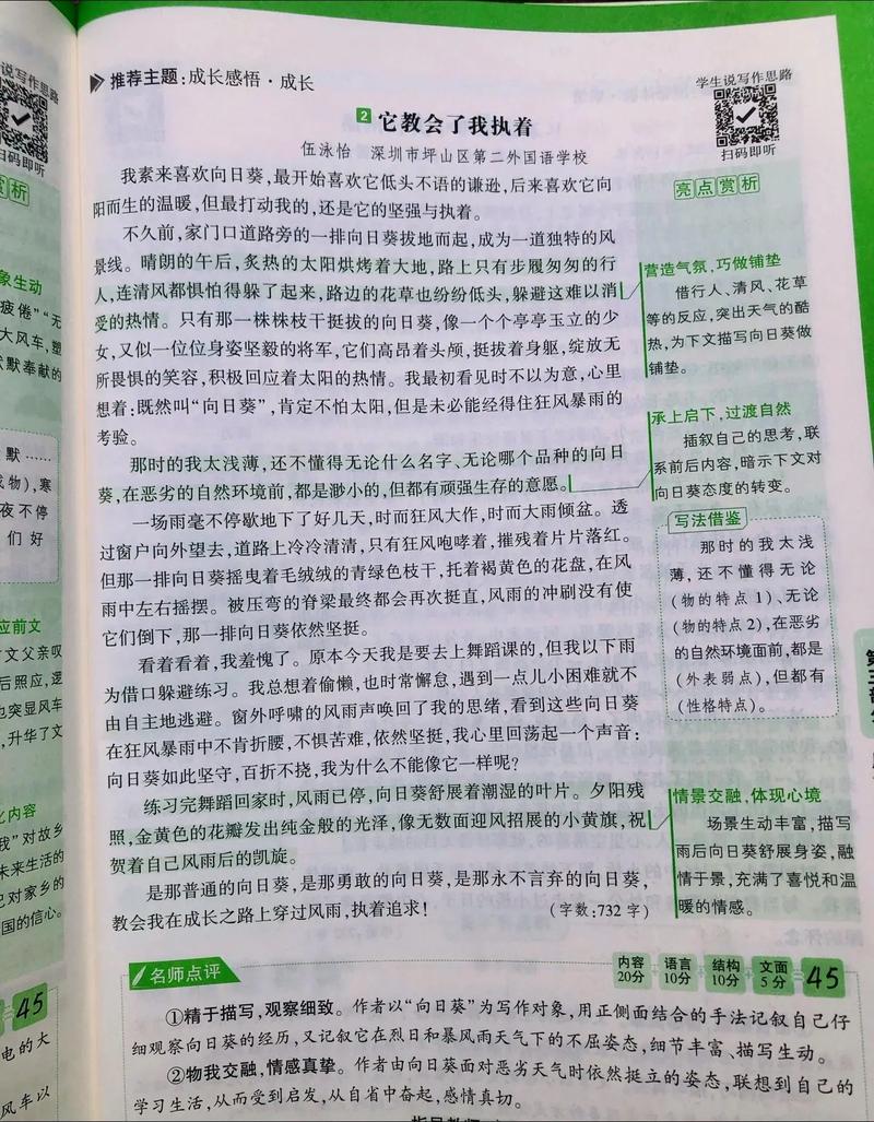 执着是美德还是枷锁？-图1