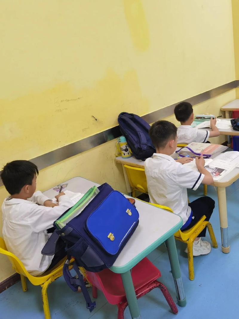 小学课外辅导课程，真的有必要报吗？-图3