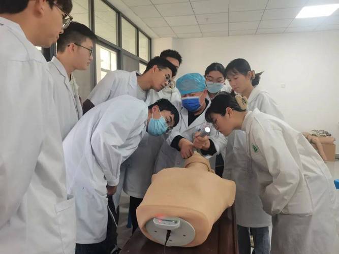 中医助理医师辅导，如何高效备考？-图1