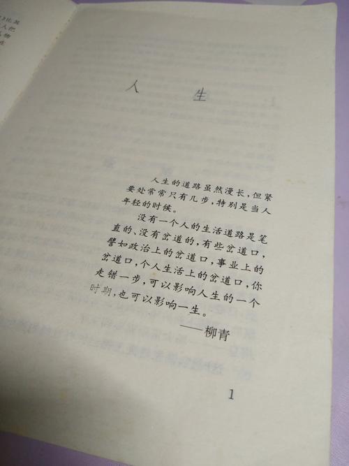 人生的岔路口 议论文-图2