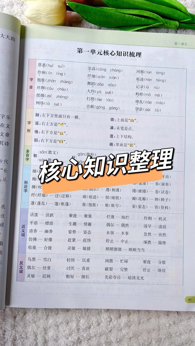 三年级新课程辅导，家长该怎么做？-图3