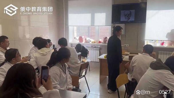中文辅导如何提升学习效果？-图1