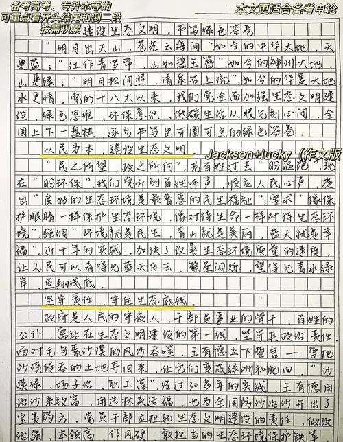 因地制宜，成功之道还是僵化借口？-图1