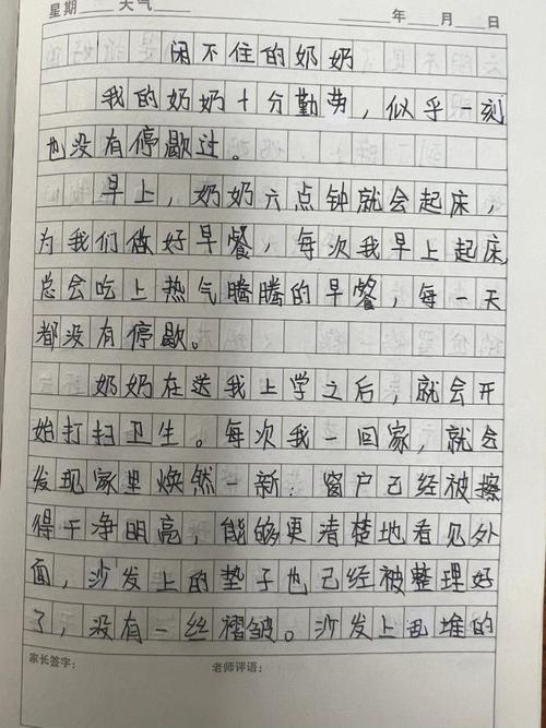 早饭奶奶的议论文，传递了怎样的温暖力量？-图1