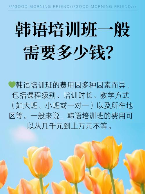 韩语一对一辅导如何提升学习效率？-图2