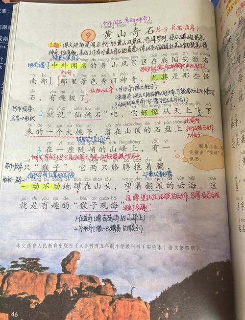 山石与卵石，坚守棱角还是圆滑处世？-图2