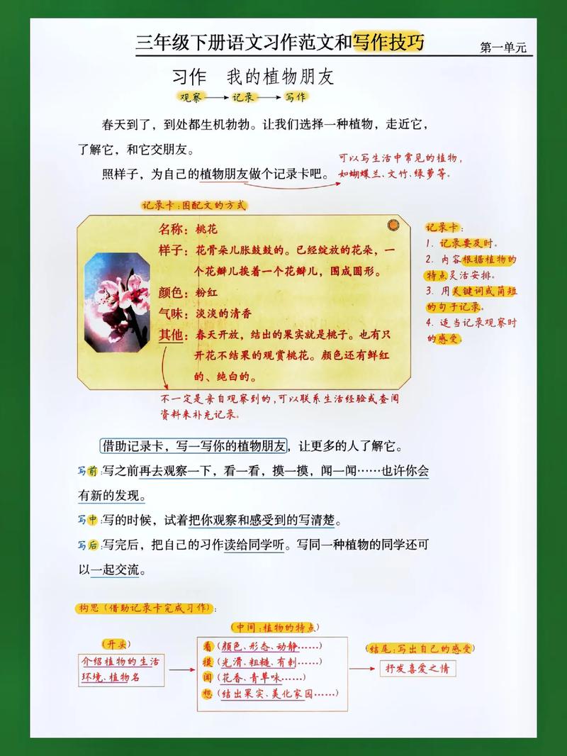 三年级作文辅导，如何让孩子轻松写出好作文？-图1