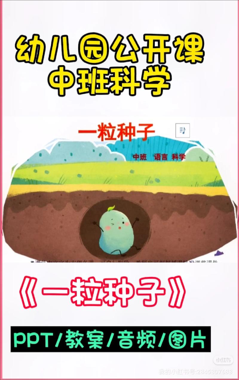 课外辅导老师种子，如何培育成参天大树？-图1