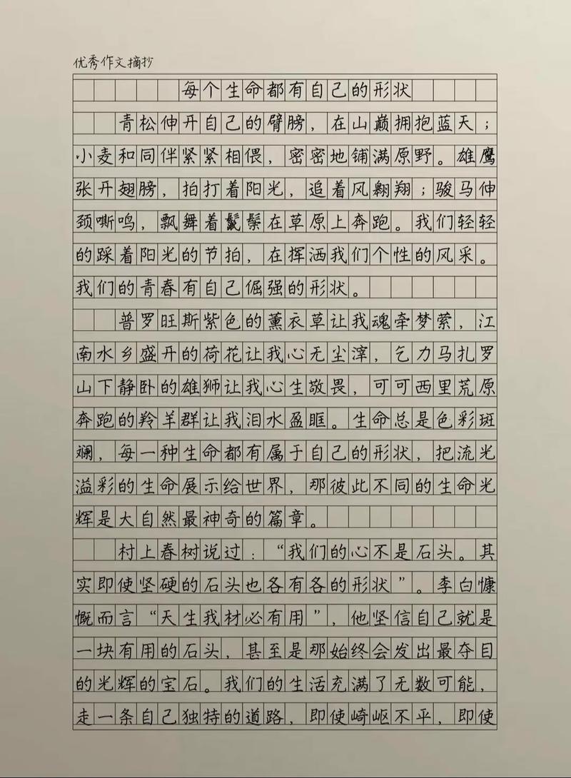 生命的遇见，是偶然还是必然？-图3