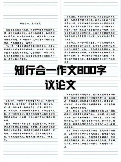 议论文环境如何影响论证效力？-图2