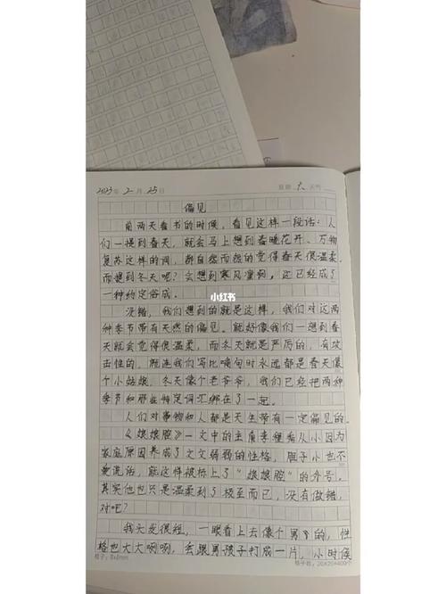 偏见议论文高中800字-图1
