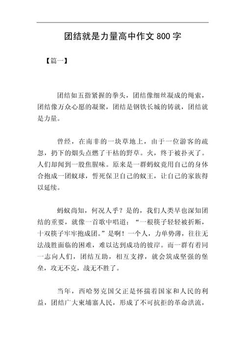 团结如何成为力量的源泉？-图2