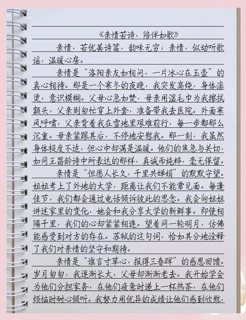 亲情陪伴，如何温暖人心？-图1