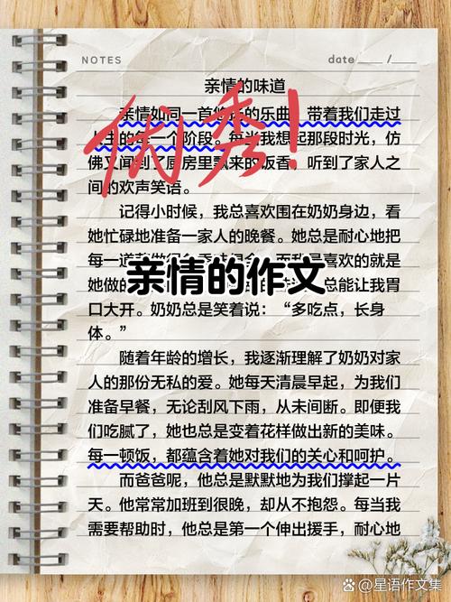 亲情陪伴，如何温暖人心？-图3