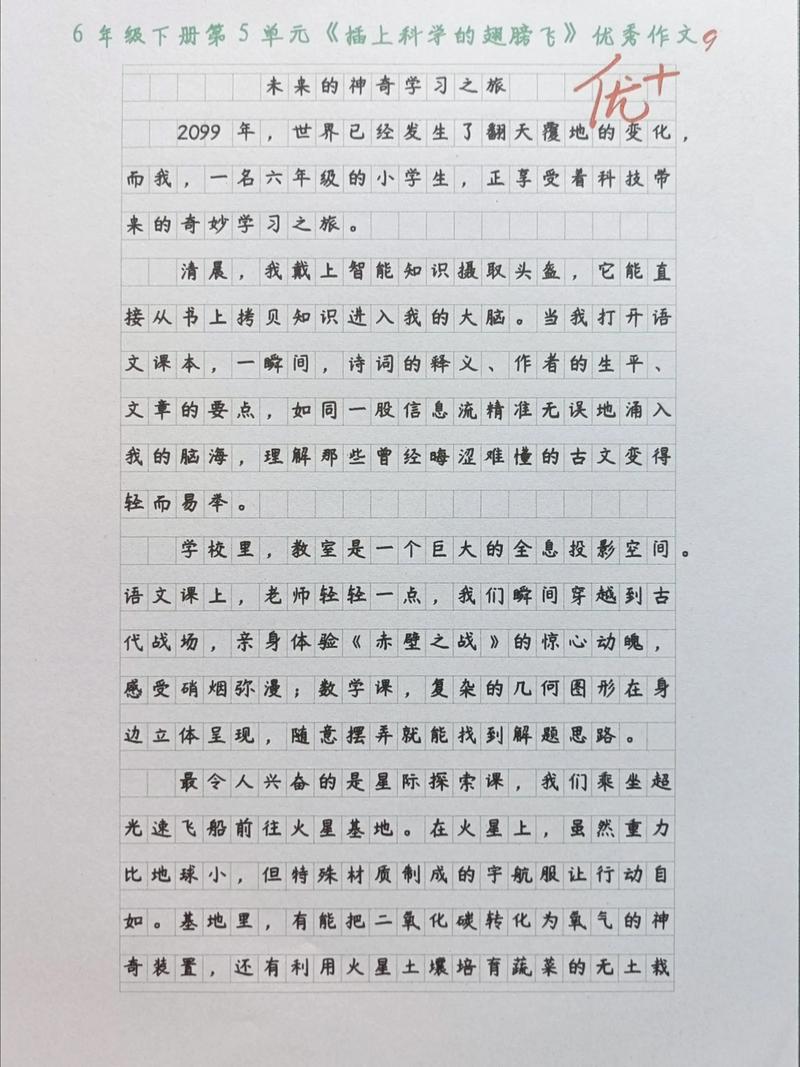 播种龙种，何以收获跳蚤？-图2