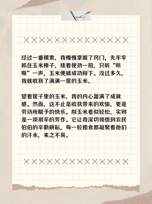 要吃些粗粮议论文-图2