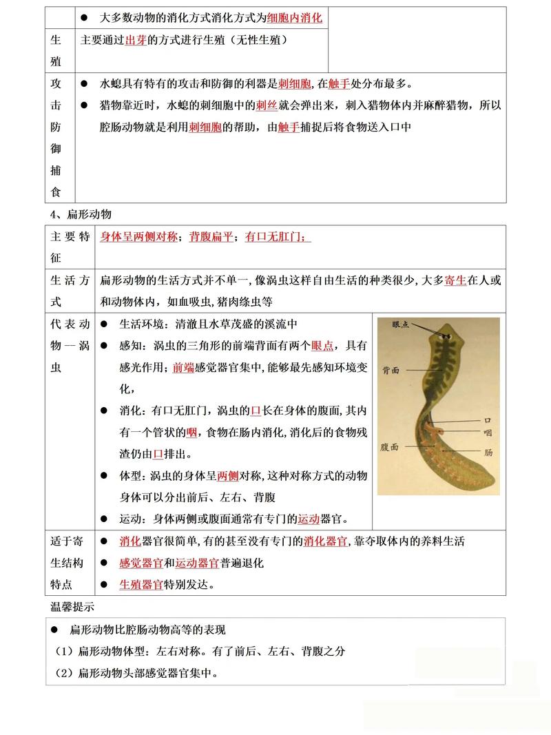 八年级上册生物辅导，如何高效提分？-图1