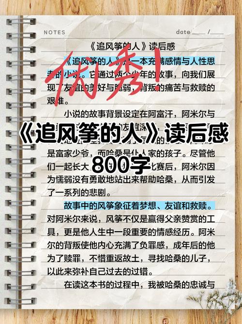 风筝象征人性救赎,何为追风筝的意义?-图1 风筝象征人性救赎,何为追风筝的意义?-图1