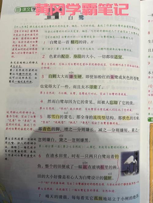 课文辅导如何高效提升语文成绩?-图1 课文辅导如何高效提升语文成绩?-图1