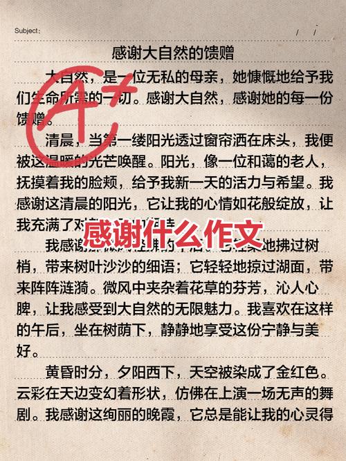 感激如何成为人生的必修课?-图2 感激如何成为人生的必修课?-图2
