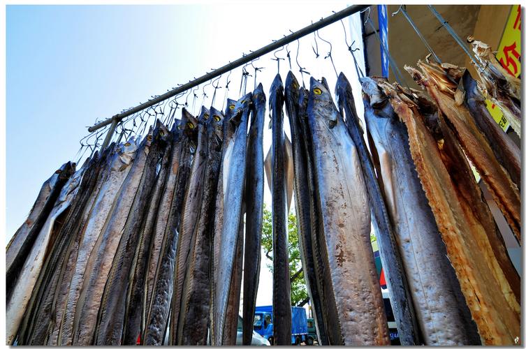 万顷沙辅导是什么？-图3