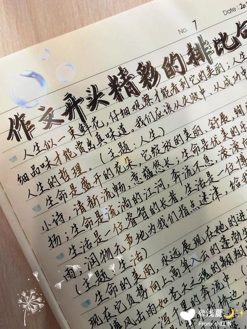 议论文开头万能排比句-图3