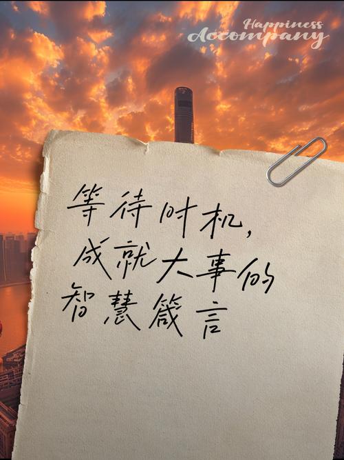 等待时机的议论文-图3 等待时机的议论文-图3